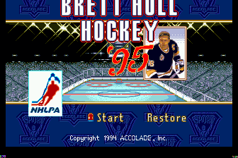 赫尔曲棍球'95(美)